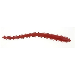 Berkley Gulp Saltwater Series Sand Worm (T3-29)