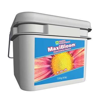 MaxiBloom, 16 lb
