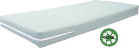 Life-Safety GREEN-CORE Vinyl Mattress