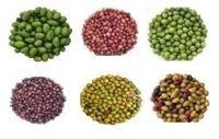 Italian Mini Olive Sampler 6x4oz.