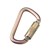 3M DBI/SALA 2000112 Saflok Steel Carabiner