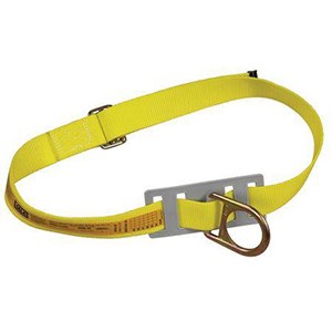 3M DBI/SALA 1001250 Boom Belt Anchor