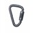 N256G Locking Steel Carabiner