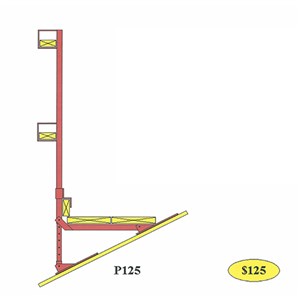 BodyGuard P 125 The Platform System