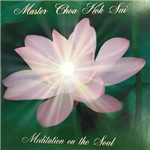 Meditation on the Soul (Achieving Oneness with the Higher Soul)