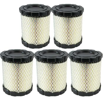 Genuine Briggs & Stratton Air Filter (5 X 798897)