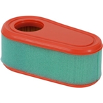 Genuine Briggs & Stratton Air Filter W/ Pre Cleaner