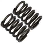 Honda GX140, GX160, GX200 valve spring set