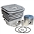 Husqvarna 390 cylinder kit