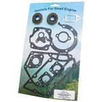 Stihl TS350, TS360 & 08 gasket set with oil seals