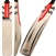 Gray-Nicolls OBlivion LE E41 Cricket Bat