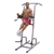 Body Solid GVKR82 pull up and dip station