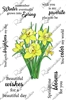 3495-17 Daffodil Blooms