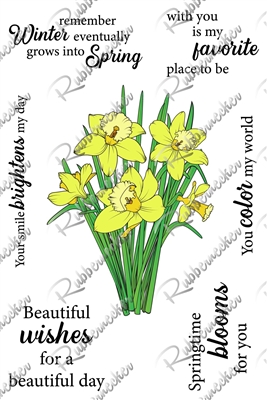 3495-17 Daffodil Blooms