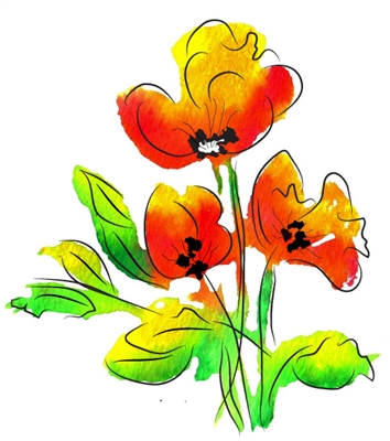 watercolor poppies  - 719