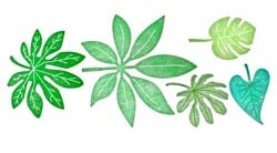 b119 Tropical Leaves