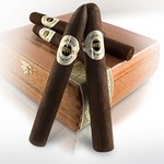 Ashton Aged Maduro No. 10 (25/Box)