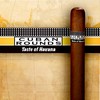 Cuban Rounds Natural Robusto (40/Box)