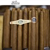 Warped Futuro Seleccion 109 (20/Box)