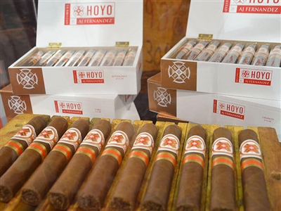 Hoyo La Amistad Robusto (Single Stick)