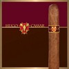 Hugo Cassar Hugito (Single Stick)