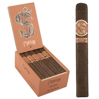 Matilde Quadrata Robusto (20/Box)