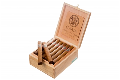 MBombay Gaaja Torpedo (10/Box)