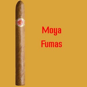Moya Fumas (5 Pack)