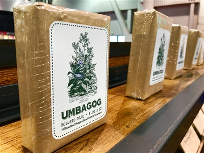 Umbagog Robusto Plus (10/Bundle)