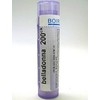 Belladonna 200ck