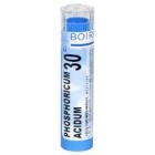 Phosphoricum Acidum 30c