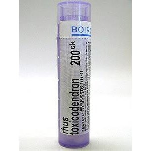 Rhus Toxicodendron 200ck