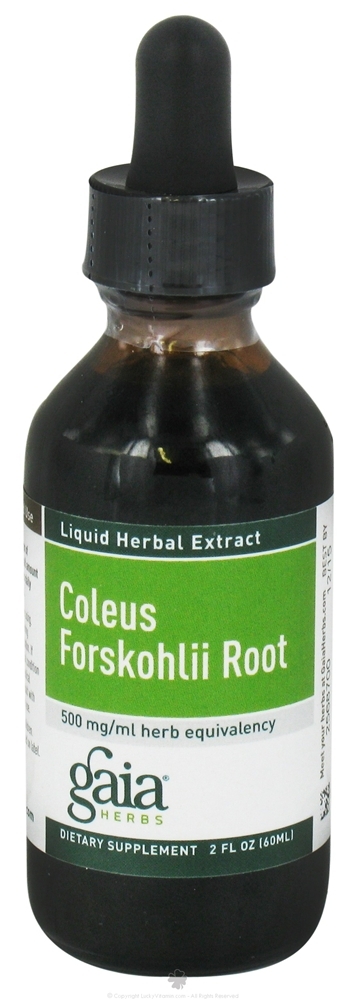 Coleus Forskohlii Root