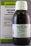 Juglans Regia English walnut buds