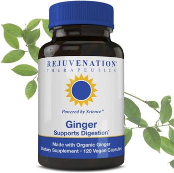 GINGER