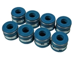 Viton Valve Seal Set-20R/22R/RE/RET-For Pro Guides