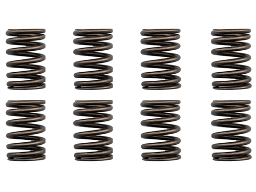 Street Performer Valve Spring Set - 20R/22R/RE/RET