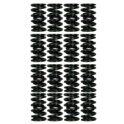 Pro Dual Valve Spring Set(16) - 2RZ/3RZ