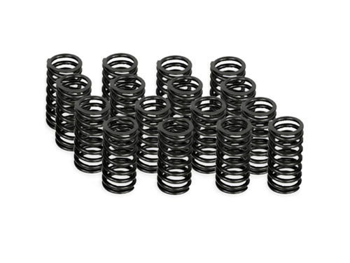 Street Valve Train Springs - 2TR 2.7L 4cyl