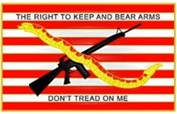 VIEW The Right To Keep And Bear Arms
