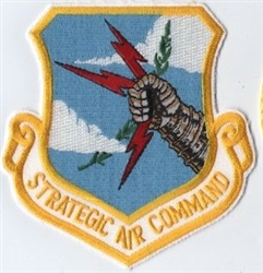 VIEW SAC Patch
