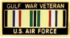VIEW USAF Gulf War Lapel Pin