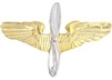 VIEW Aviation Cadet Insignia