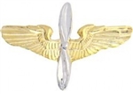 VIEW Aviation Cadet Insignia
