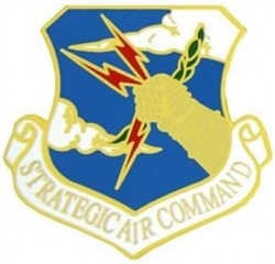 VIEW SAC Beret Badge