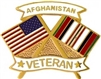 VIEW Afghanistan Veteran Pin