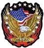 VIEW Eagle And US Flag Patch