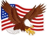 VIEW Eagle And US Flag Back Patch