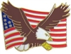 VIEW Wavy US Flag With Eagle