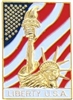 VIEW Liberty USA Lapel Pin